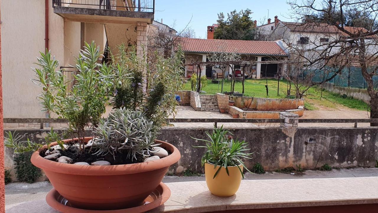 Appartamento Apartman Istria 4 You Pola Esterno foto